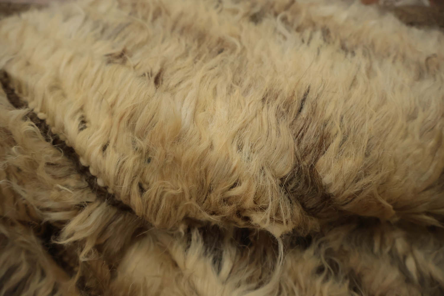 Neutral Tones Cozy and Textural Moroccan Oriental Area Rug 6x8