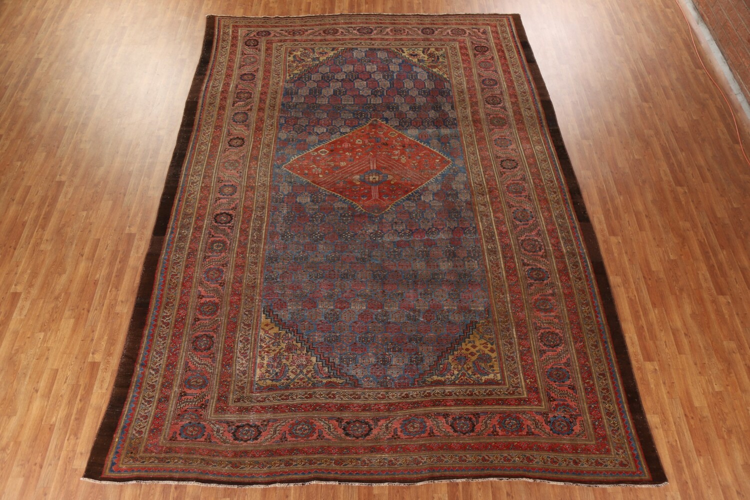 Pre-1900 Antique Heriz Bakhshayesh Vegetable Dye Persian Rug 10x15