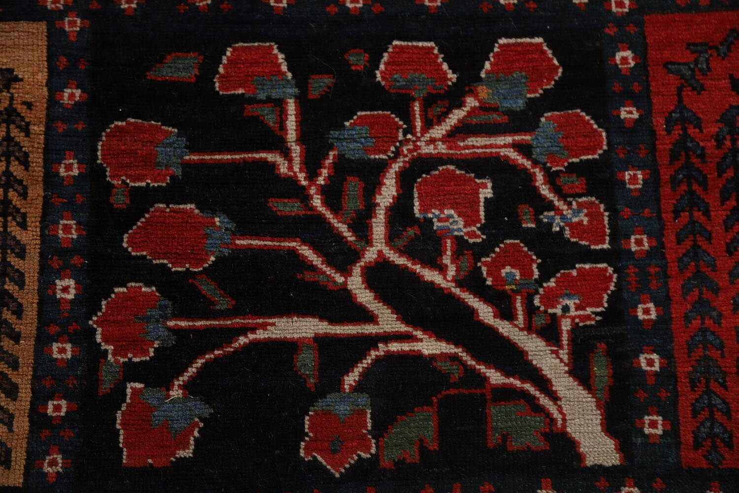 Pre-1900 Antique Bakhtiari Shalamzar Vegetable Dye Persian Rug 13x20