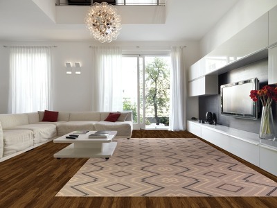 Geometric Kilim Durrie Oriental Large Rug 11x19