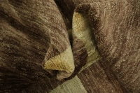 https://image-static-obj.rugsource.com/small/100375_3379689_d3fb9039.jpeg