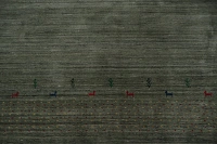 https://image-static-obj.rugsource.com/small/106637_3134079_1cb0116e.jpeg