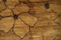 https://image-static-obj.rugsource.com/small/107243_3389075_4630512e.jpeg