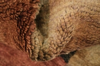https://image-static-obj.rugsource.com/small/107247_3388685_704f775f.jpeg