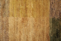 https://image-static-obj.rugsource.com/small/107256_3389095_4af01350.jpeg
