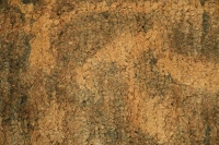 https://image-static-obj.rugsource.com/small/107296_3389226_fe4d2d86.jpeg