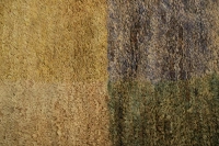 https://image-static-obj.rugsource.com/small/107434_3388525_f8fcee1d.jpeg