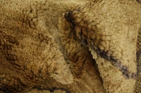 https://image-static-obj.rugsource.com/small/107439_3431175_ebe33b85.jpeg