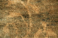https://image-static-obj.rugsource.com/small/107454_3394653_03d73395.jpeg