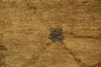 https://image-static-obj.rugsource.com/small/107456_3388541_67926e3a.jpeg