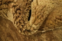 https://image-static-obj.rugsource.com/small/107456_3388550_3d5d2121.jpeg