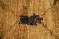 https://image-static-obj.rugsource.com/small/107460_3388656_df81d9b2.jpeg
