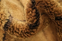 https://image-static-obj.rugsource.com/small/107472_3394671_424312b4.jpeg