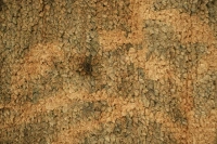 https://image-static-obj.rugsource.com/small/107505_3394393_f348e3a7.jpeg
