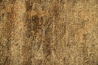 https://image-static-obj.rugsource.com/small/107514_3392097_24561b84.jpeg