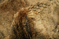 https://image-static-obj.rugsource.com/small/107514_3392106_9c77ebbb.jpeg