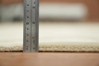 https://image-static-obj.rugsource.com/small/121564_3403844_cb13d685.jpeg