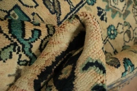 https://image-static-obj.rugsource.com/small/121779_3411856_c6069389.jpeg