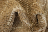 https://image-static-obj.rugsource.com/small/127468_3432082_e4e9e53c.jpeg