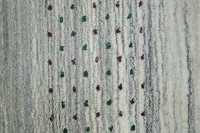 https://image-static-obj.rugsource.com/small/128044_3433005_68e844e4.jpeg