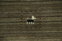 https://image-static-obj.rugsource.com/small/130001_3305191_4df7689a.jpeg
