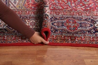 https://image-static-obj.rugsource.com/small/131267_2581146_0f04f787.jpeg