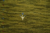https://image-static-obj.rugsource.com/small/132261_3381166_981bdda3.jpeg