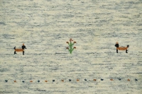 https://image-static-obj.rugsource.com/small/135609_3315180_ecd584ba.jpeg