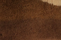 https://image-static-obj.rugsource.com/small/136970_3304510_27f5a9d9.jpeg