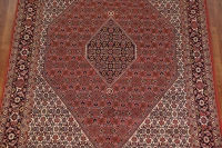 https://image-static-obj.rugsource.com/small/141109_2774216_858779c5.jpeg