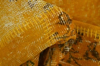 https://image-static-obj.rugsource.com/small/160532_3107693_5206022a.jpeg