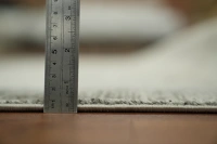 https://image-static-obj.rugsource.com/small/166415_3281035_2b777648.jpeg