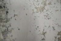 https://image-static-obj.rugsource.com/small/166454_3276707_e5b86114.jpeg