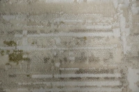 https://image-static-obj.rugsource.com/small/166455_3276636_edf8aa20.jpeg