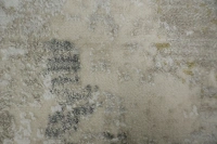 https://image-static-obj.rugsource.com/small/166539_3275595_9e126646.jpeg