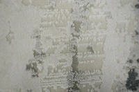 https://image-static-obj.rugsource.com/small/166543_3275666_c1f74e81.jpeg