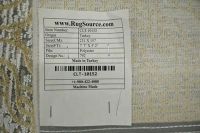 https://image-static-obj.rugsource.com/small/166566_3276492_6b0495c6.jpeg