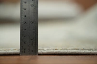 https://image-static-obj.rugsource.com/small/166583_3285946_01dfe5bb.jpeg