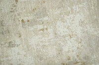 https://image-static-obj.rugsource.com/small/166592_3275669_729aa5fd.jpeg