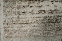 https://image-static-obj.rugsource.com/small/166625_3277991_7d83b98e.jpeg