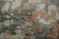 https://image-static-obj.rugsource.com/small/166687_3276266_efd764e9.jpeg