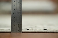 https://image-static-obj.rugsource.com/small/166703_3279009_895c48a6.jpeg