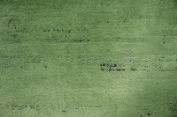 https://image-static-obj.rugsource.com/small/167042_3283034_3085578b.jpeg