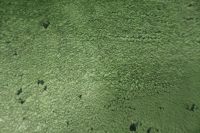 https://image-static-obj.rugsource.com/small/167042_3283035_068c86ab.jpeg