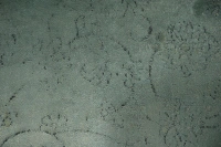 https://image-static-obj.rugsource.com/small/167044_3283060_51e08e80.jpeg