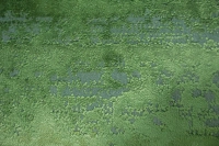 https://image-static-obj.rugsource.com/small/167056_3293917_cd9f74dd.jpeg