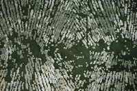 https://image-static-obj.rugsource.com/small/167265_3289434_2809a286.jpeg