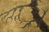 https://image-static-obj.rugsource.com/small/168040_3322750_f2eba330.jpeg