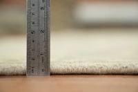 https://image-static-obj.rugsource.com/small/168300_3344969_c97c70d9.jpeg