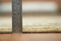 https://image-static-obj.rugsource.com/small/168512_3337382_1dacbd44.jpeg